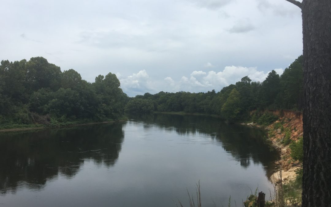 Silver Bluff Audubon Center & Sanctuary